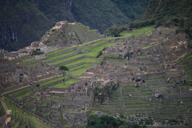 Machu Piccu (Photo Credit: Luke Fisher)